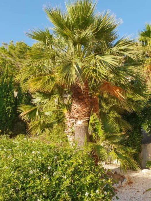 Banyan Cotobro Villa Almuñécar Kültér fotó